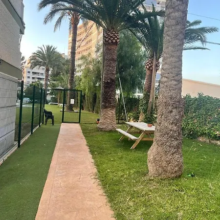 Estudio Carreta, Playa San Juan Alicante